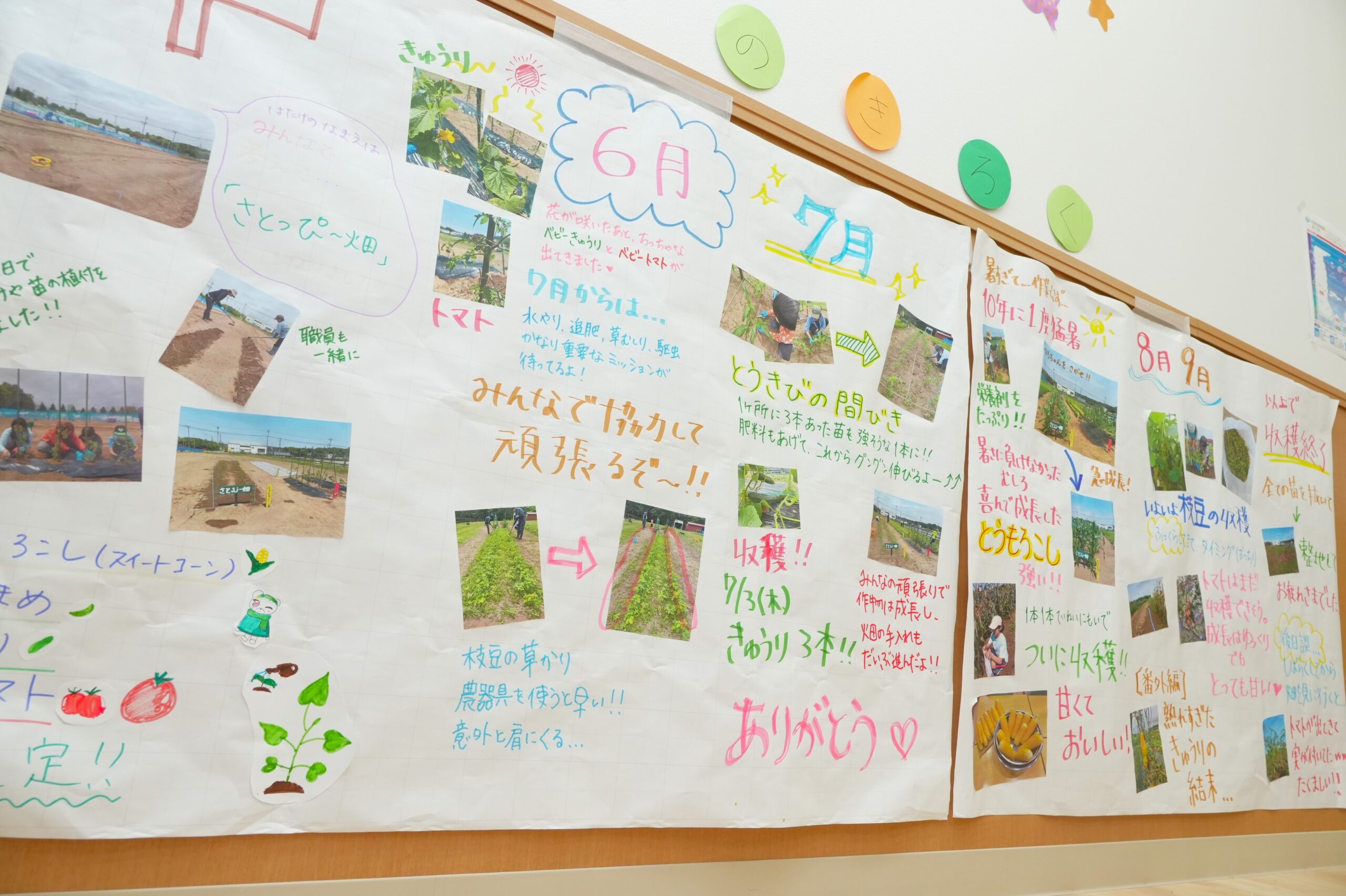 一人で抱えない。チームで支えるから、より良いかかわりが生まれる。